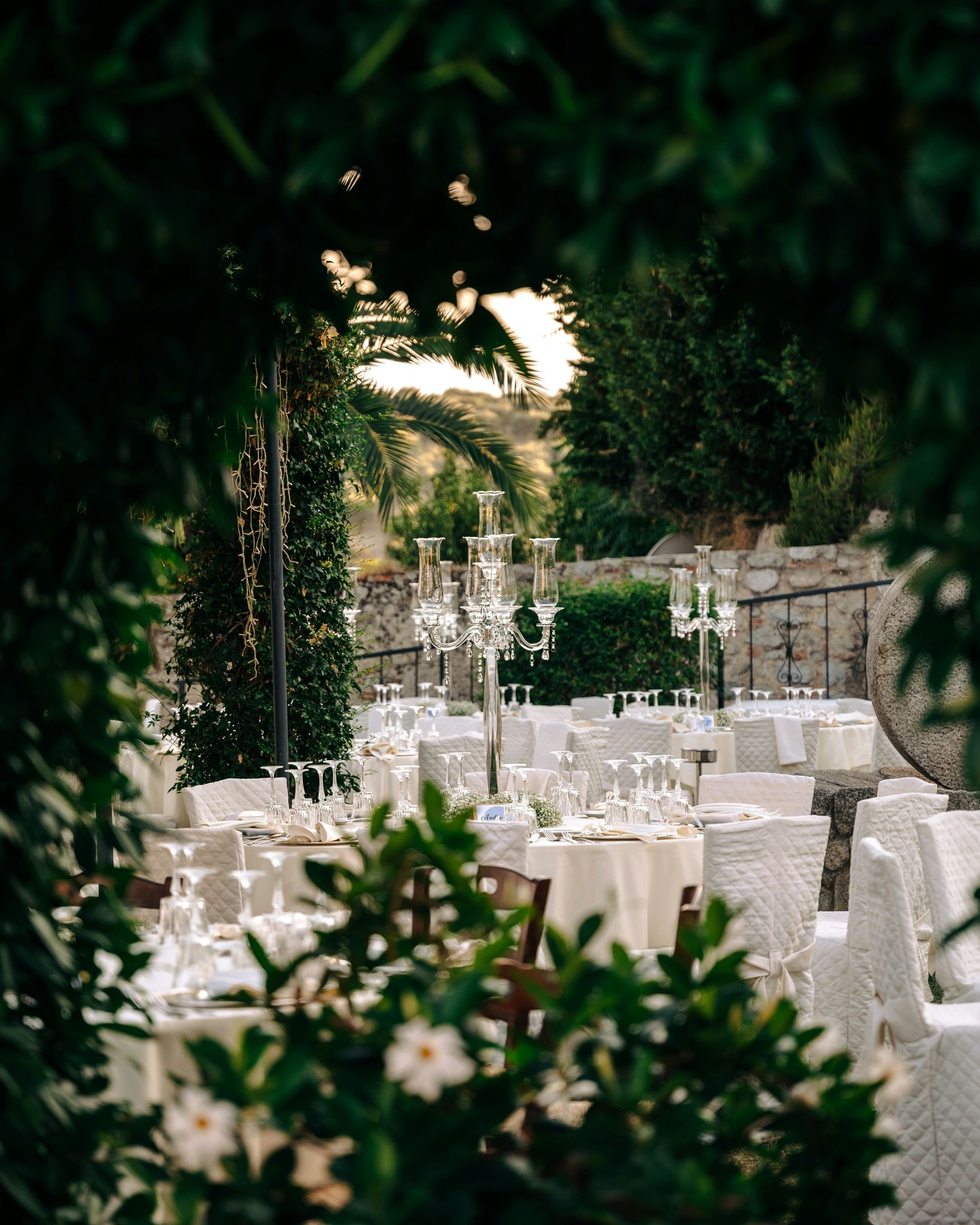 Wedding 4